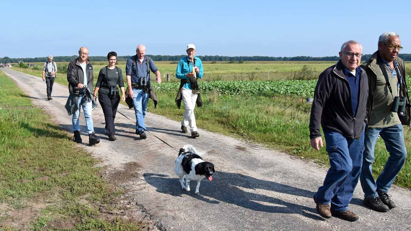 Brunchwandeling naar telpost