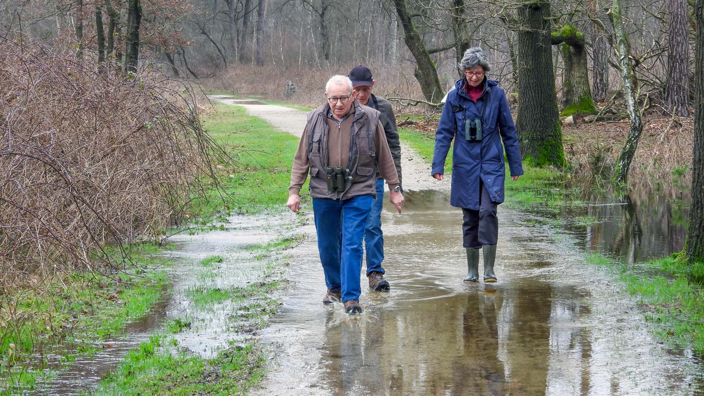 Seniorenwandeling 19 februari 2024