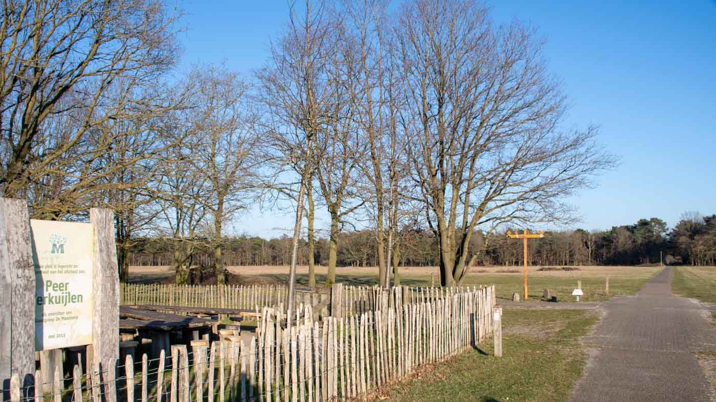 Maashorst Begrazingsgebied