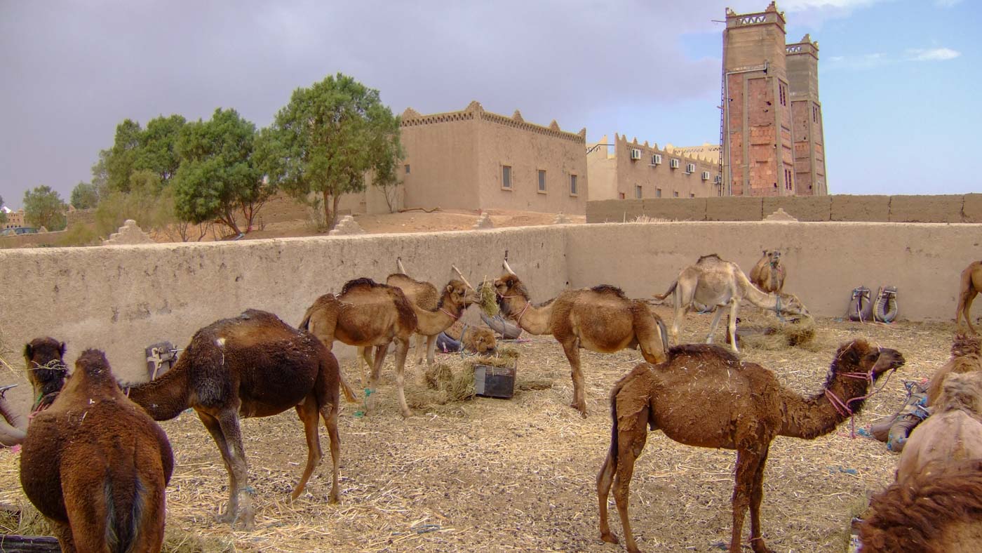 Marokko 2010