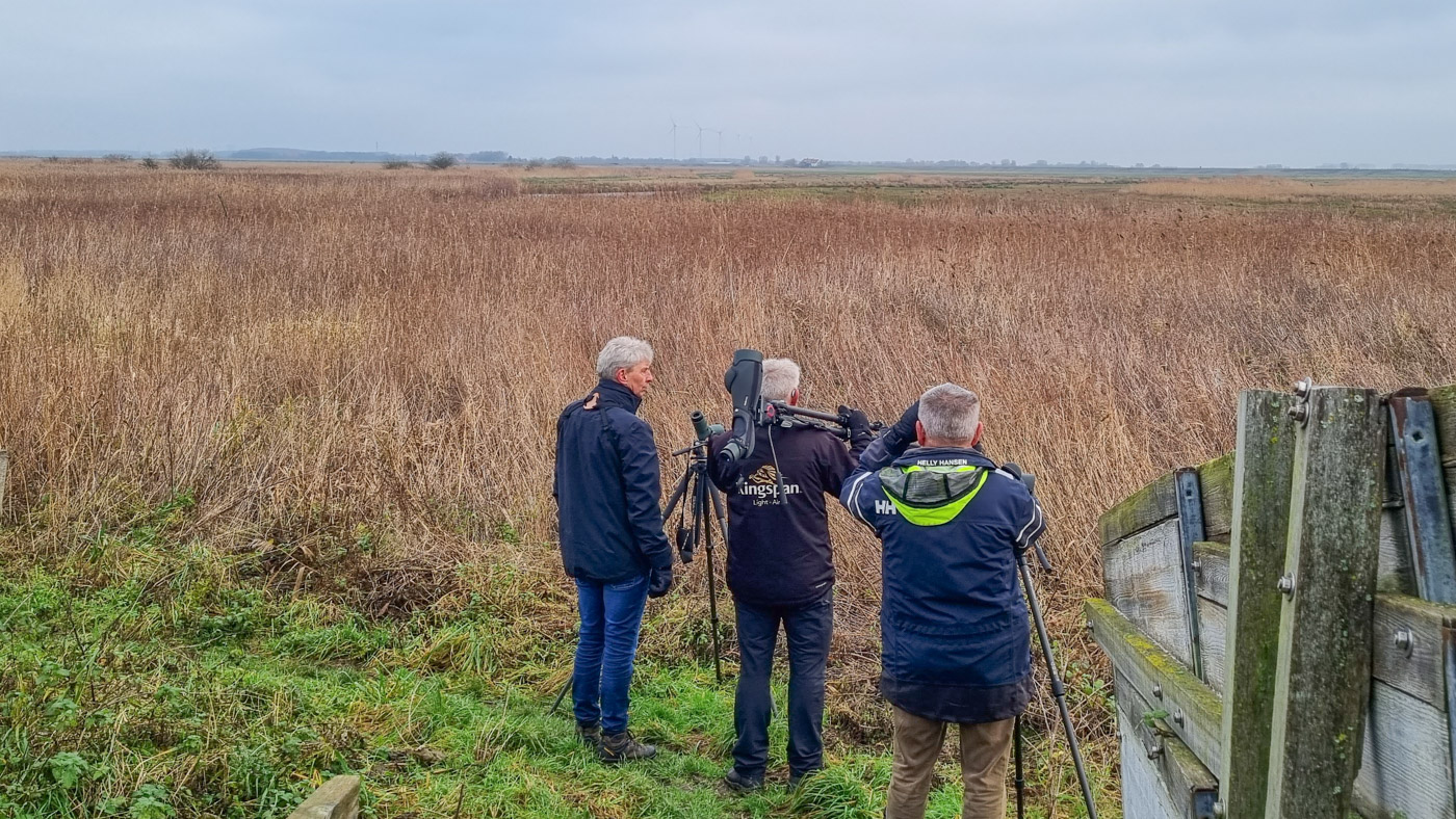 Hoeksche Waard