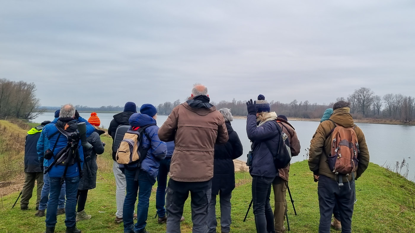 Excursie Ooijpolder 29 januari 2023