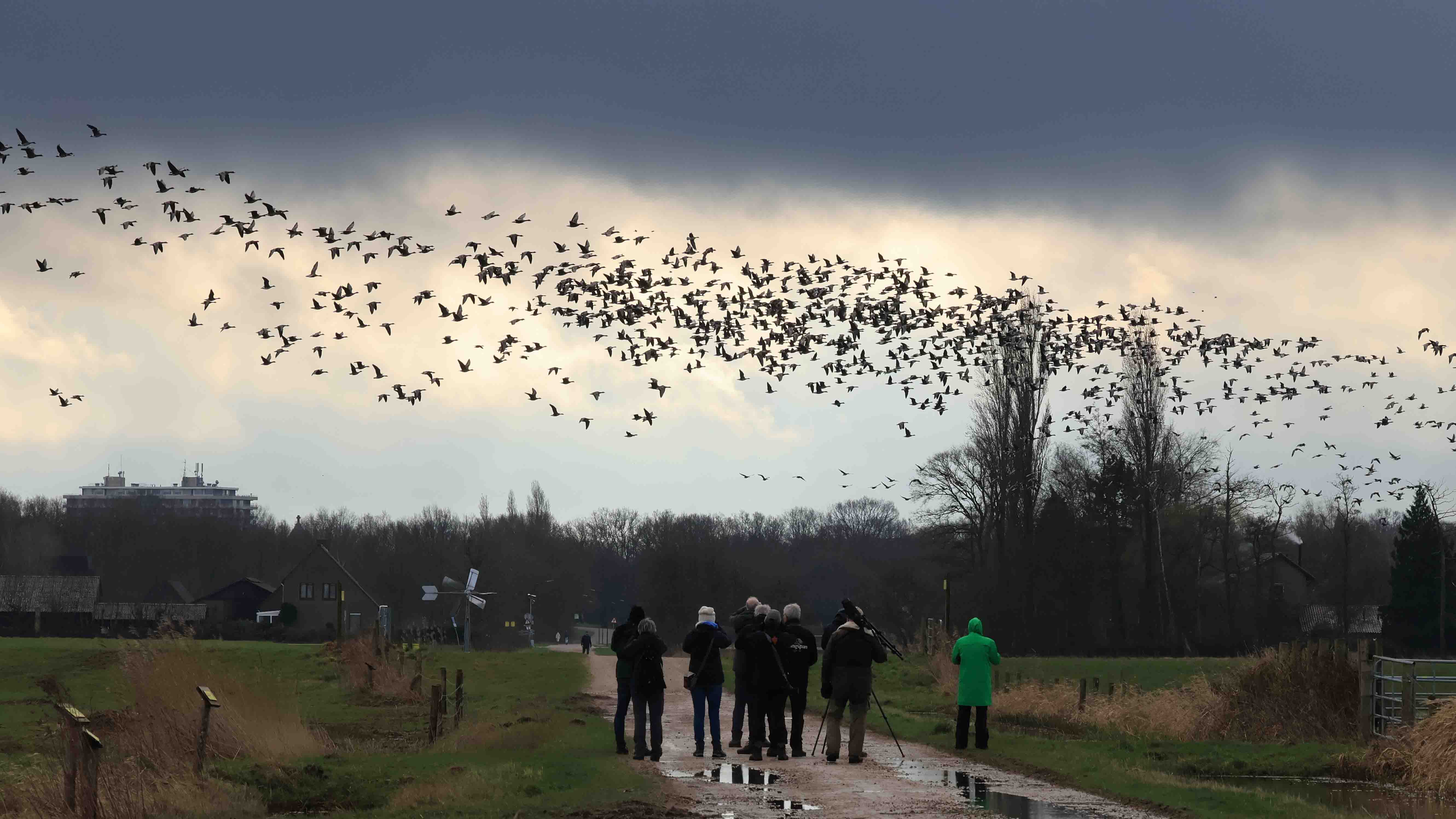 Wamberg en Vughtse Gement