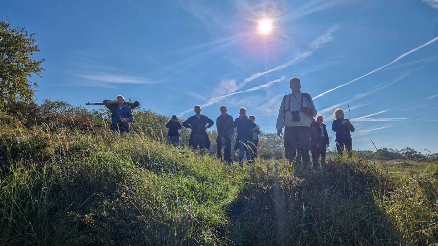 Amsterdamse Waterleidingduinen