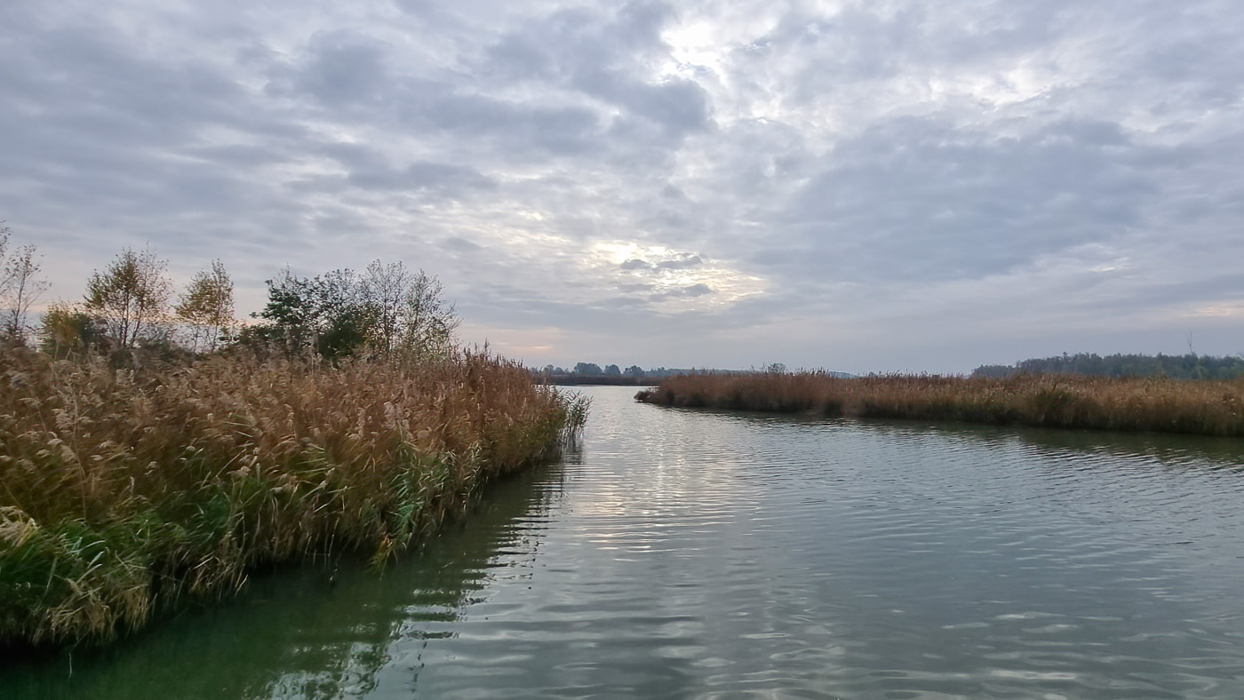 Biesbosch