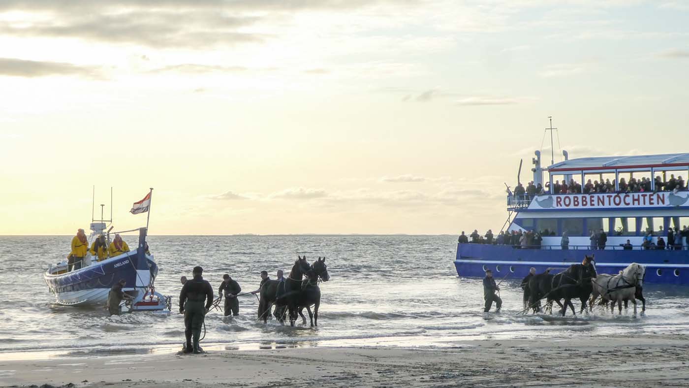 Reddingsboot met paarden oefent ©Martien van Dooren
