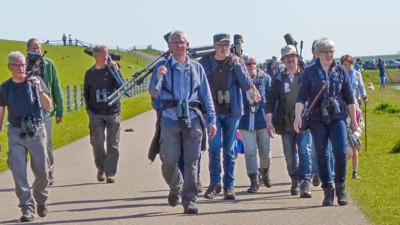 Vogels kijken op Texel