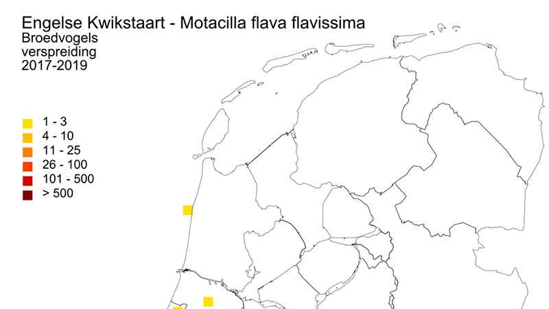 Verspreidingskaart Engelse Kwikstaart Nederland (bron Sovon)