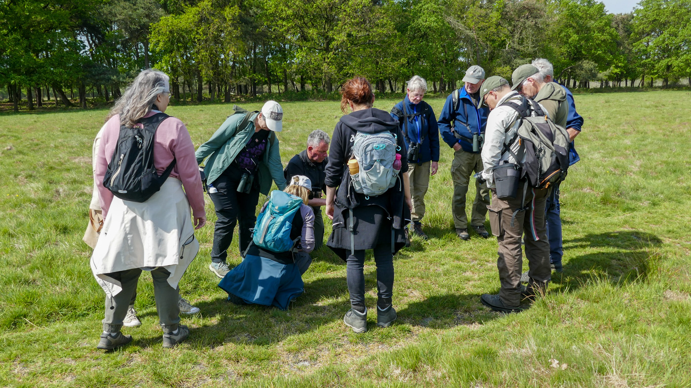 Bioblitz 2026
