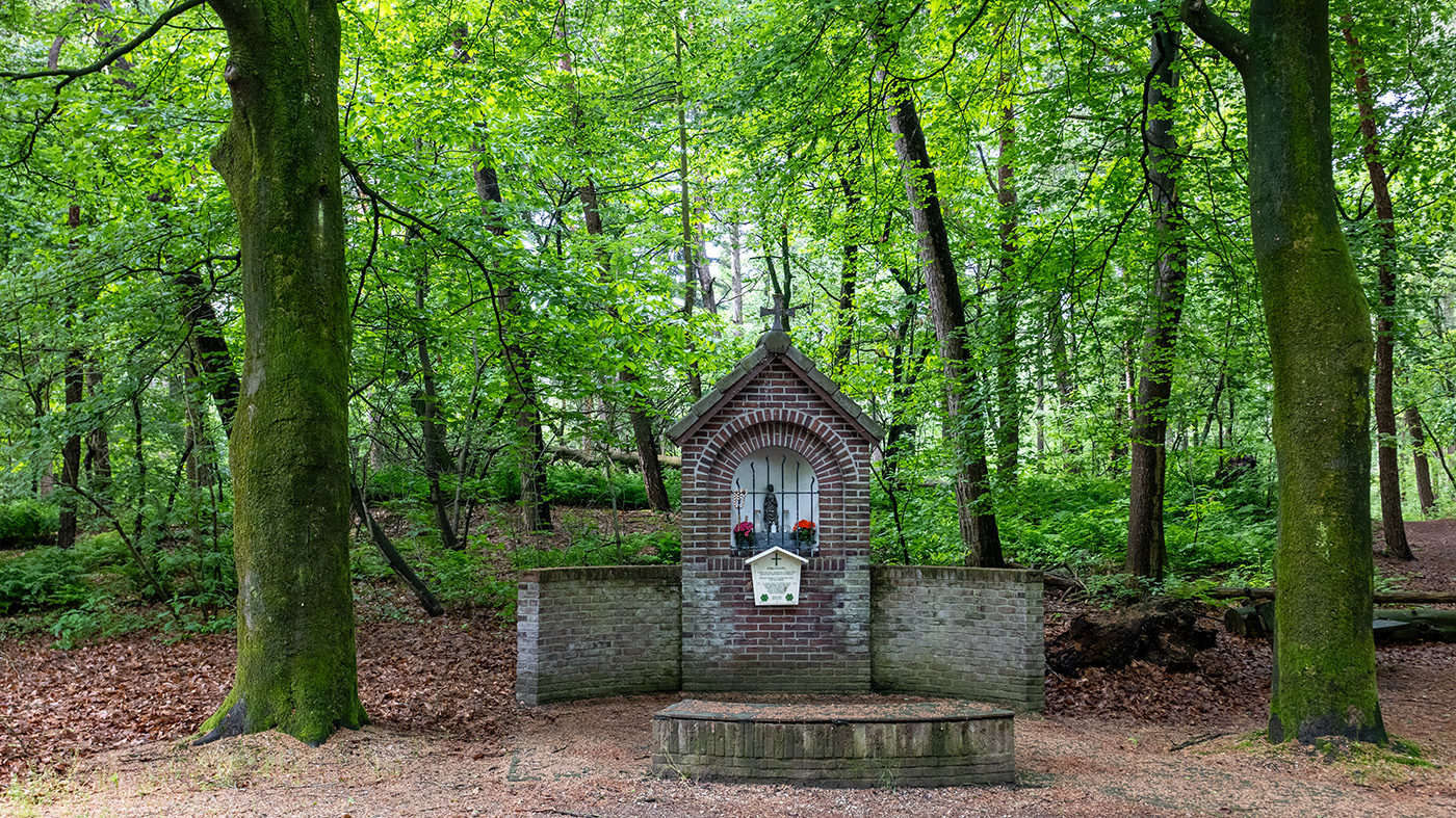 Inventarisatie broedvogels Odiliapeelse bossen