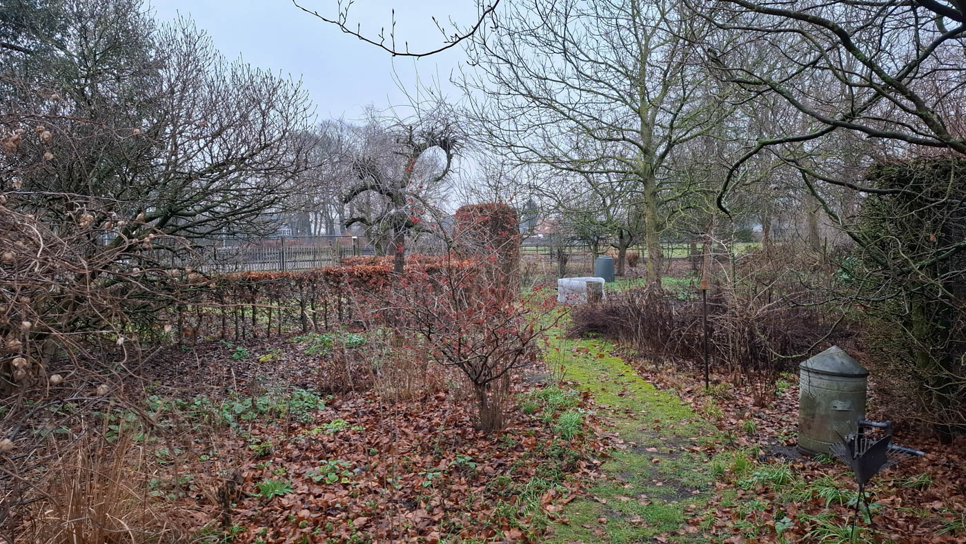 Nationale tuinvogeltelling 2026