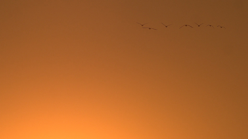 Mooie zonsopkomst op de telpost