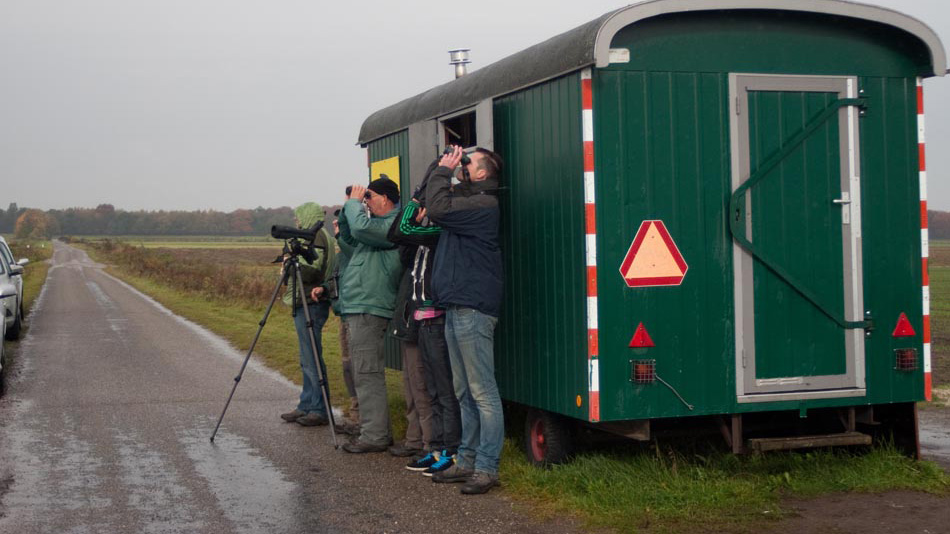 Zondag een dag met regen op de telpost