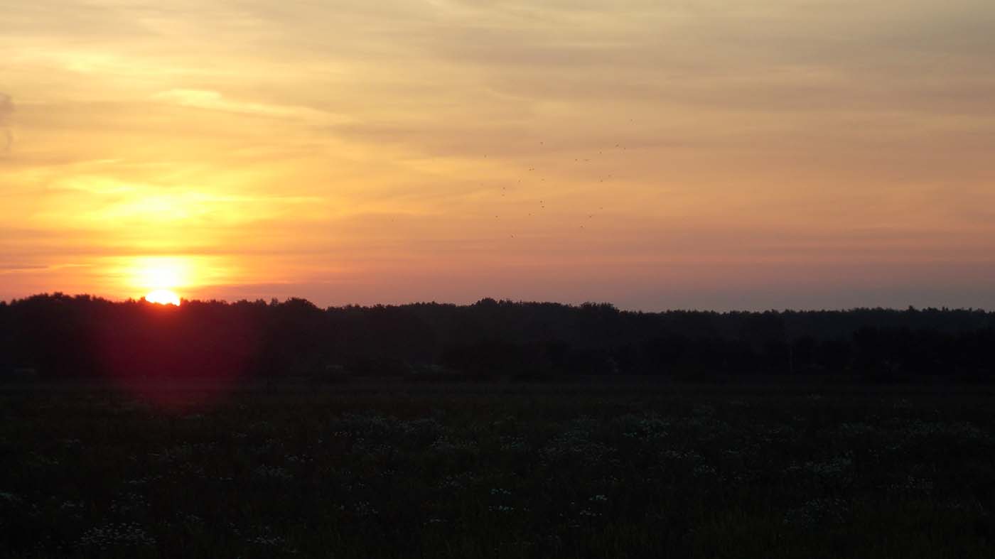 Zonsopkomst op de telpost