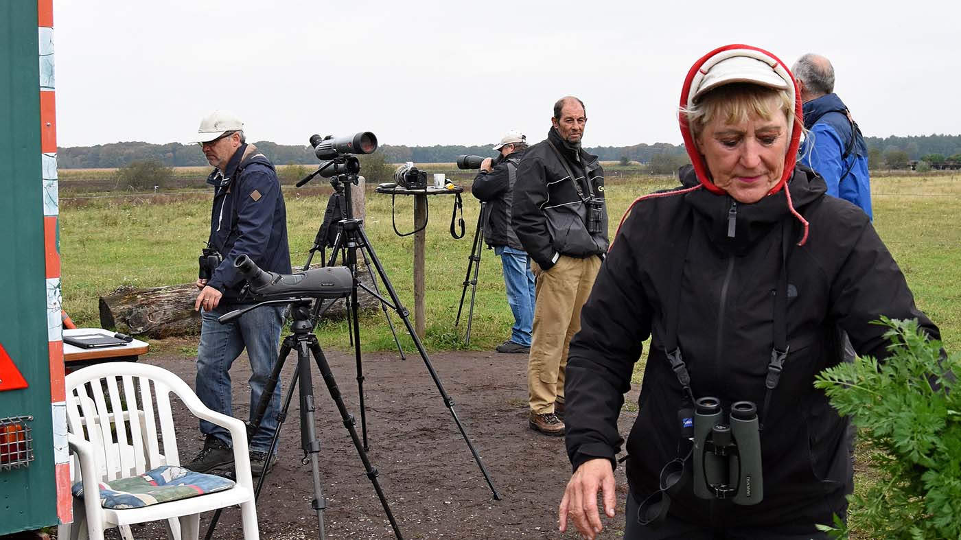 Maartje Bakker