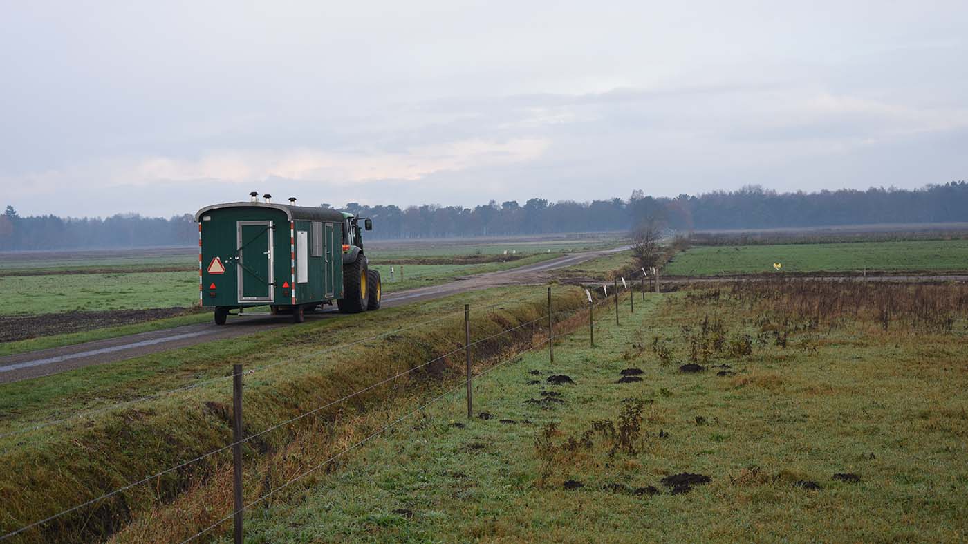 De keet wordt weer naar de winterstalling gebracht