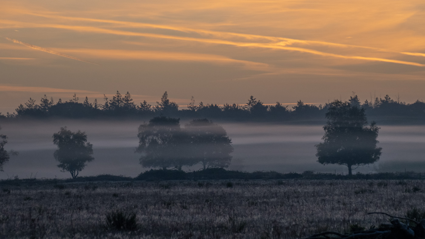 Telpost in de mist